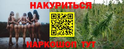 крисы Пыть-Ях